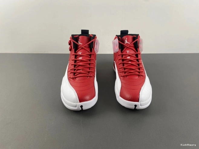 Kick Theory Alternate Air Jordan 130690-600 12 0807